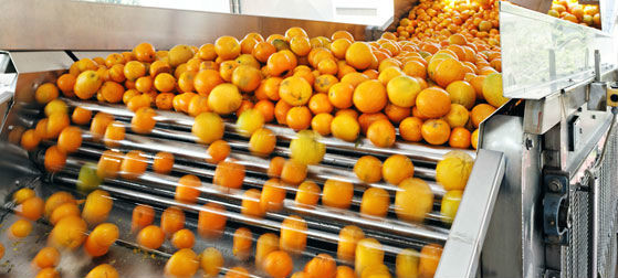 engery_saving_orange_juice_production_industrial_orange_juice_machine_iso_ce